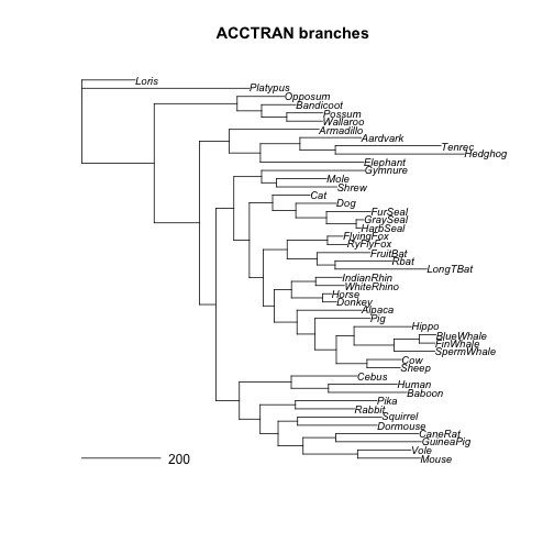 ACCTRAN tree